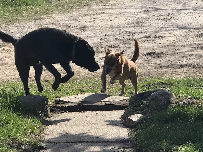 Davis Veterinary Clinic Picture 5