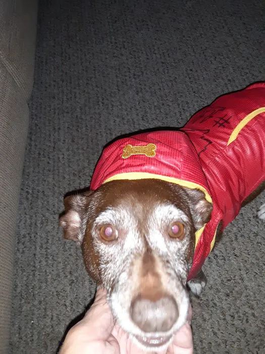 Davis Veterinary Clinic Picture 7