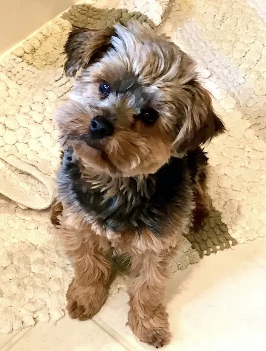 Bader Paul w DVM Picture 2