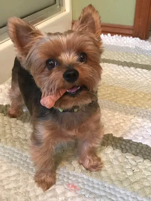 Bader Paul w DVM Picture 1