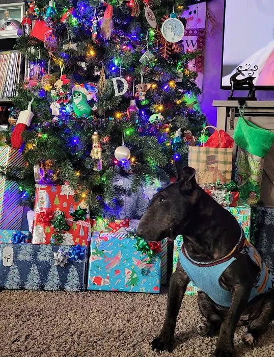 Bader Paul w DVM Picture 4