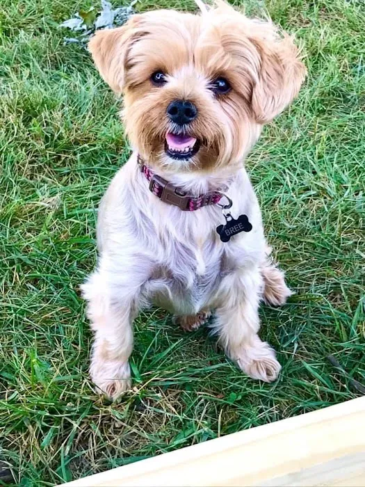 Bader Paul w DVM Picture 5