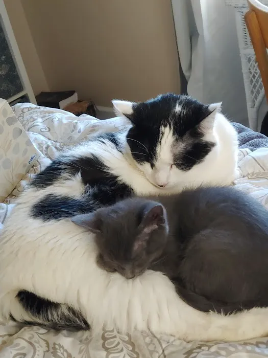 Bader Paul w DVM Picture 6