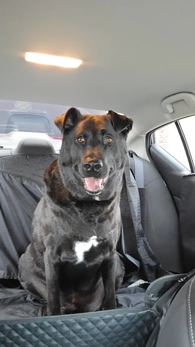 Bader Paul w DVM Picture 8