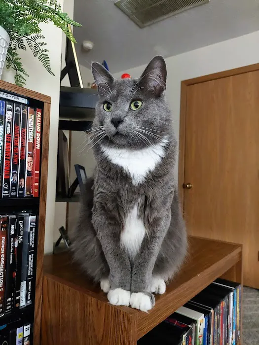 Aurora Animal Clinic Picture 1