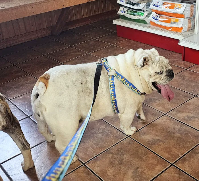 Aurora Animal Clinic Picture 2