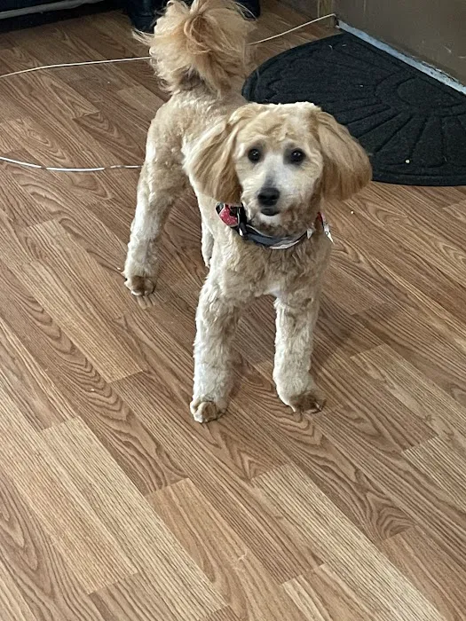 Aurora Animal Clinic Picture 3