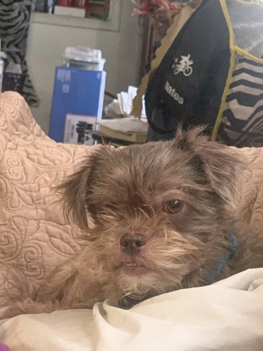 Aurora Animal Clinic Picture 8