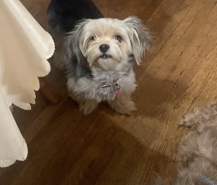 Aurora Animal Clinic Picture 4