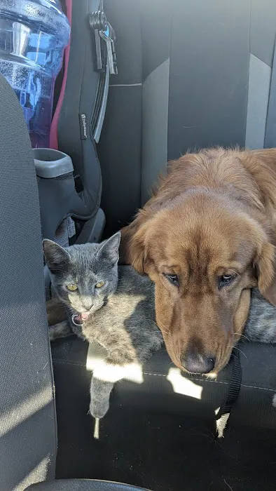 Aurora Animal Clinic Picture 6