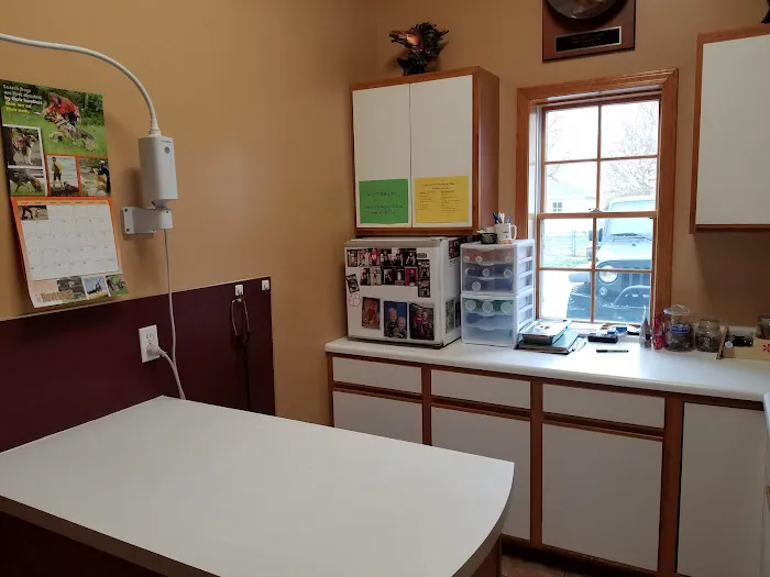 Aurora Animal Clinic Picture 10