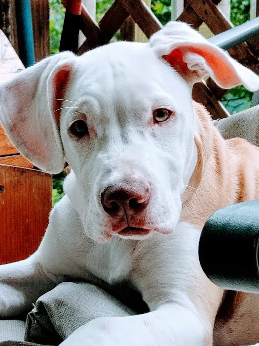 Aurora Animal Clinic Picture 9