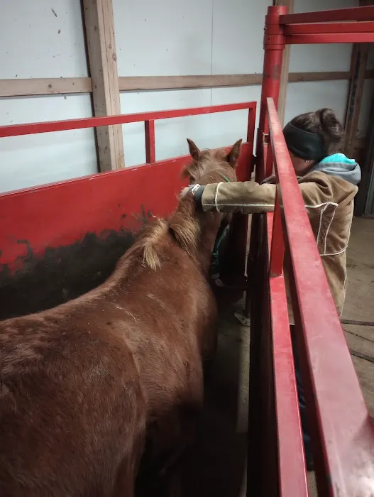 Countryside Animal Clinic Picture 2