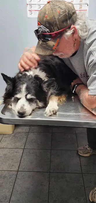 Animal Clinic of Monett Picture 2