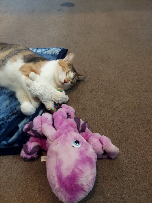 Animal Clinic of Monett Picture 3