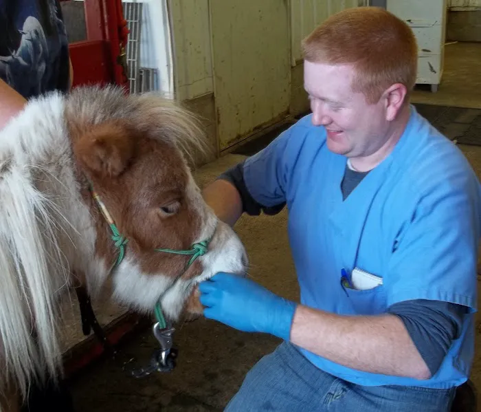 Animal Clinic of Monett Picture 9