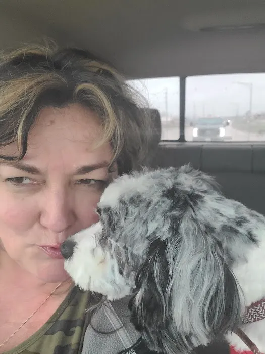 Houston Veterinary Hospital Picture 2