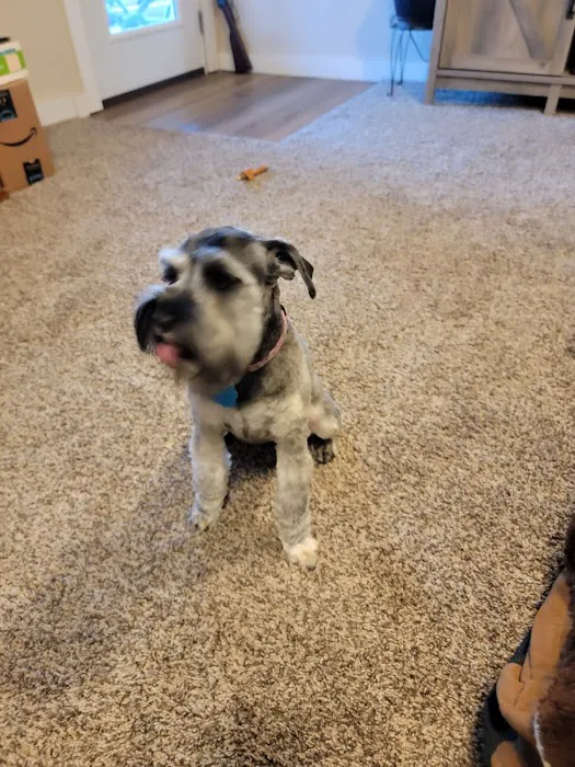 Houston Veterinary Hospital Picture 7