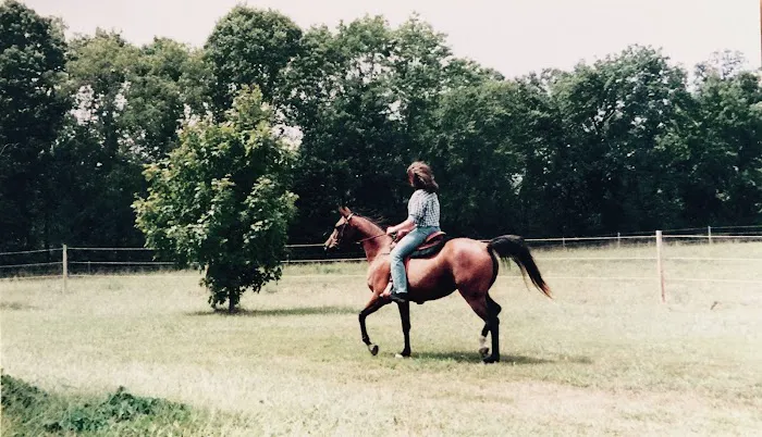 Texas County Veterinary Clinic Picture 3