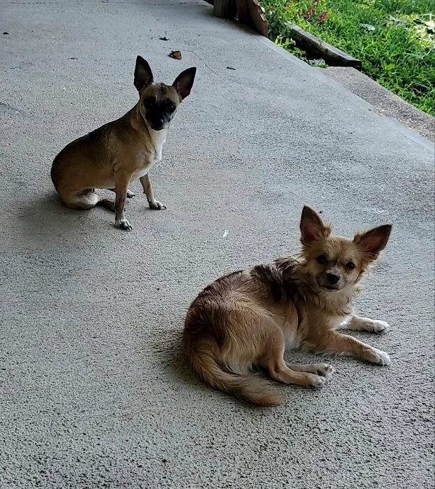 Texas County Veterinary Clinic Picture 4