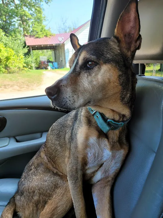 Texas County Veterinary Clinic Picture 2