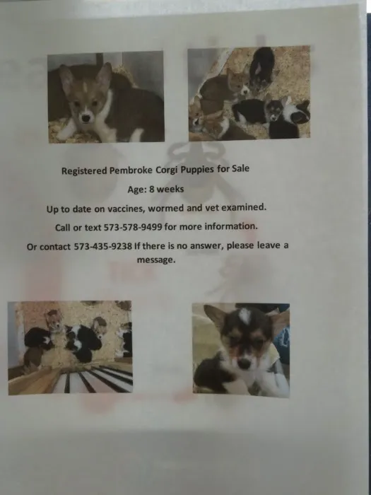 Texas County Veterinary Clinic Picture 1