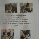 Texas County Veterinary Clinic