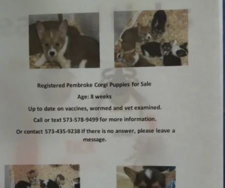 Texas County Veterinary Clinic