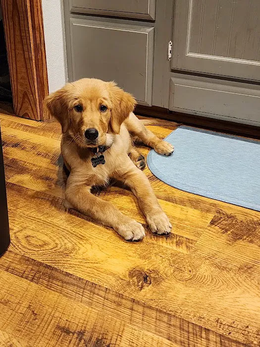 Texas County Veterinary Clinic Picture 5