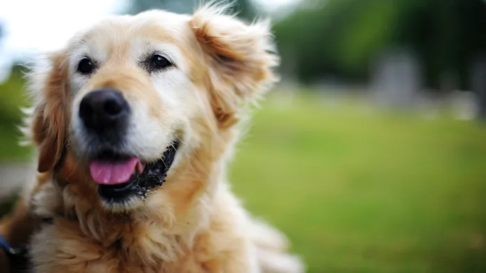 Texas County Veterinary Clinic Picture 9