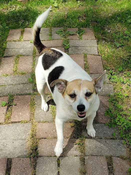 Mountain View Animal Clinic Picture 5