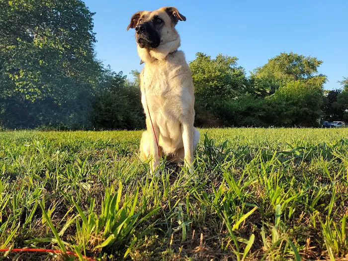 Mountain View Animal Clinic Picture 7