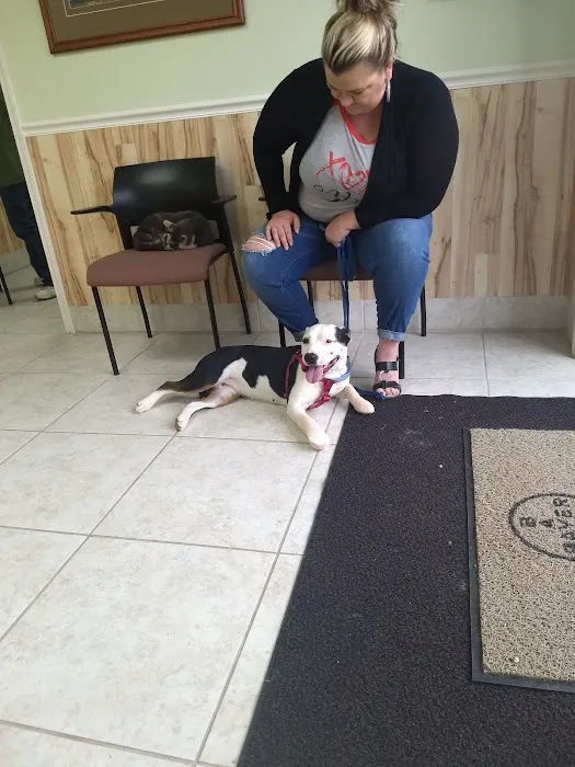 Mountain View Animal Clinic Picture 9