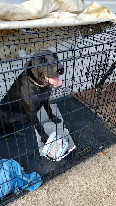 Barn Hollow Veterinary Services Picture 5