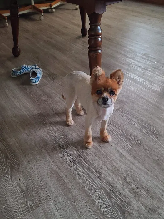 Barn Hollow Veterinary Services Picture 4