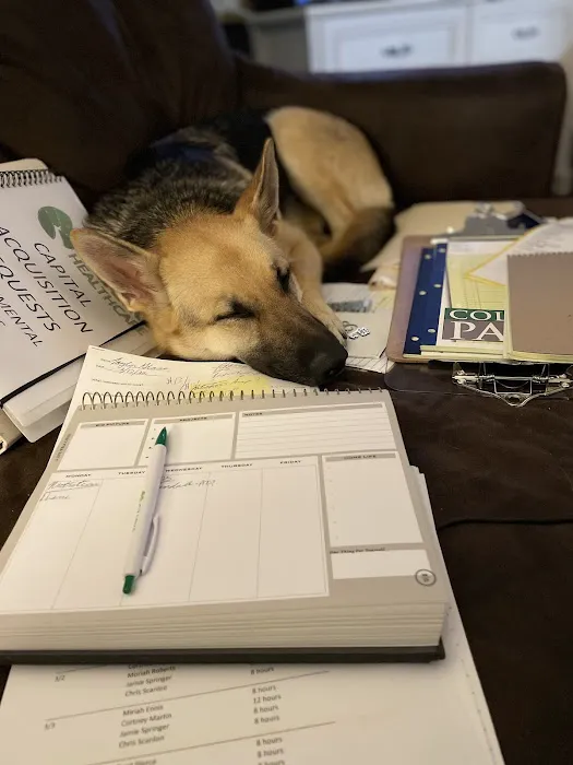 Barn Hollow Veterinary Services Picture 3