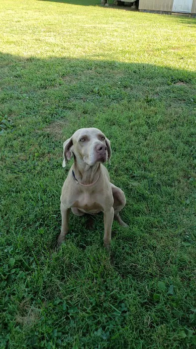 Barn Hollow Veterinary Services Picture 6