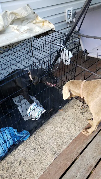 Barn Hollow Veterinary Services Picture 7