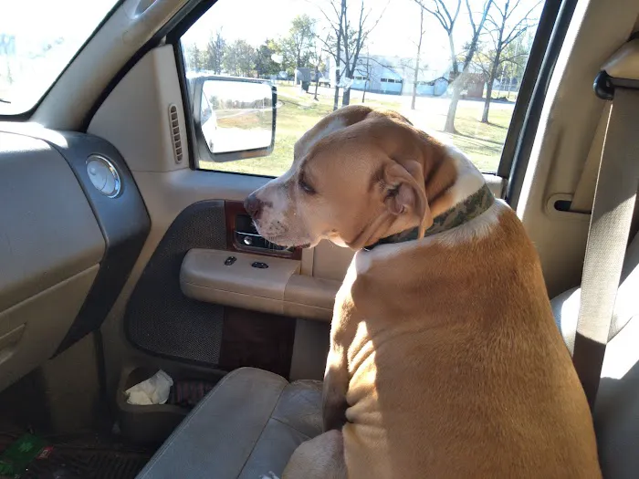 Barn Hollow Veterinary Services Picture 10