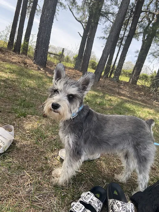 Priority Pet Care of the Ozarks Picture 1