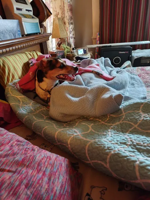 Marmaton Valley Vet Clinic Picture 1