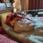 Marmaton Valley Vet Clinic