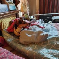 Marmaton Valley Vet Clinic ico