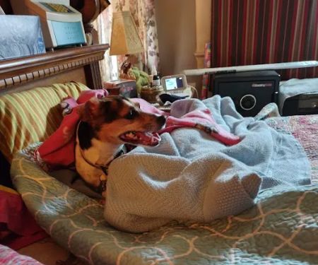 Marmaton Valley Vet Clinic