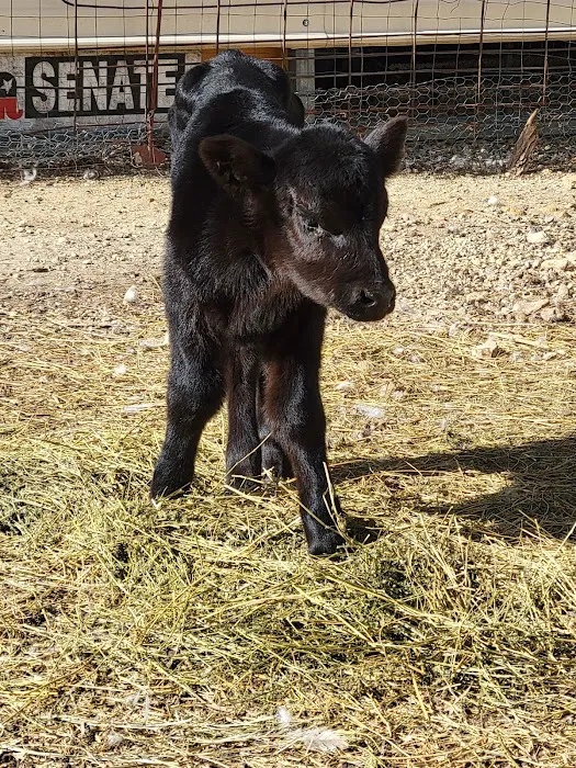 Animal Health Center Picture 9