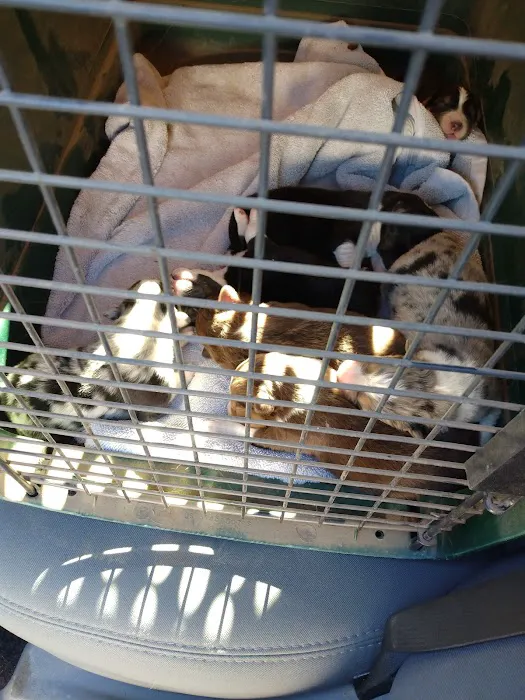 Animal Health Center Picture 8