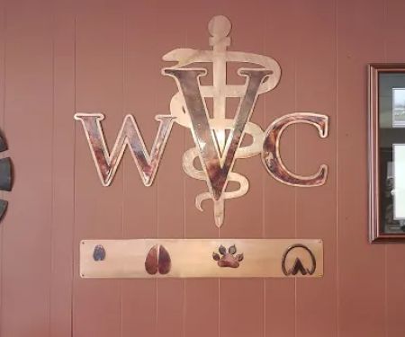 Washington Veterinary Clinic