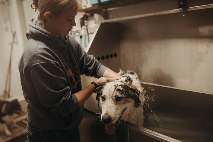 Washington Veterinary Clinic Picture 5