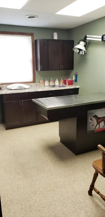 Washington Veterinary Clinic Picture 3