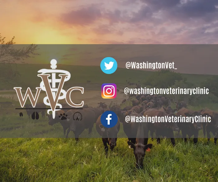 Washington Veterinary Clinic Picture 8